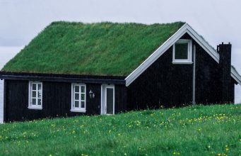 Dom zakupiony za gotówkę z gdańskiego skupu domów. Na dachu ma trawę, dookoła również jest trawa. Prosty, jedno-piętrowy domek z poddaszem.
