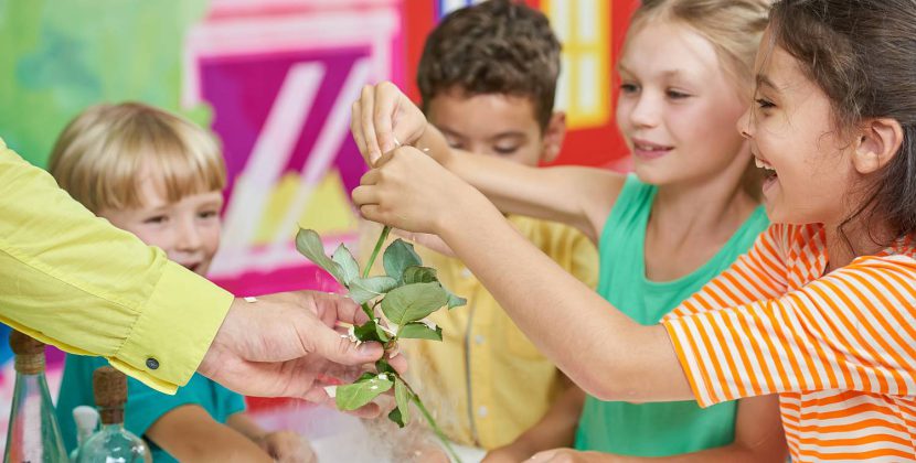 Edukacja przedszkolna dzieci z ASD (spektrum autyzmu)