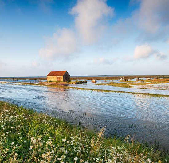 Wpływ zmian klimatycznych na dostępność wody i konieczność ograniczania strat w infrastrukturze