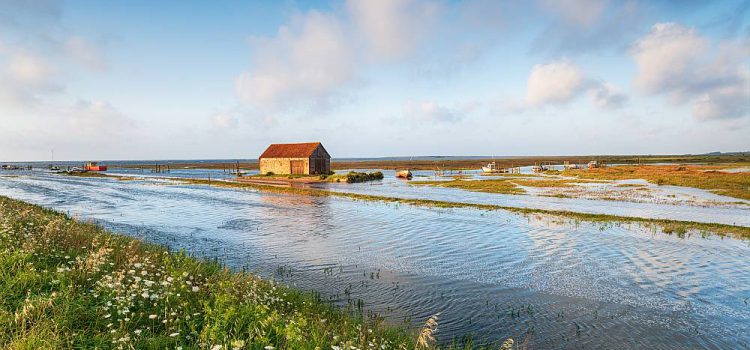Wpływ zmian klimatycznych na dostępność wody i konieczność ograniczania strat w infrastrukturze