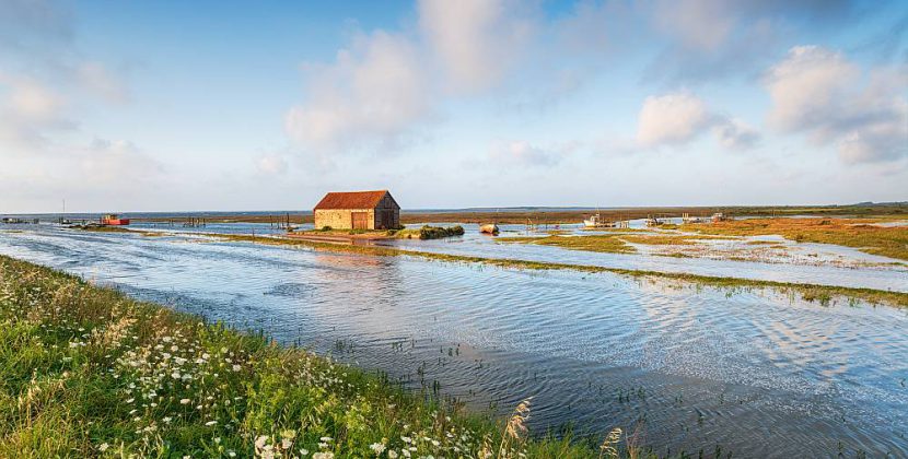 Wpływ zmian klimatycznych na dostępność wody i konieczność ograniczania strat w infrastrukturze